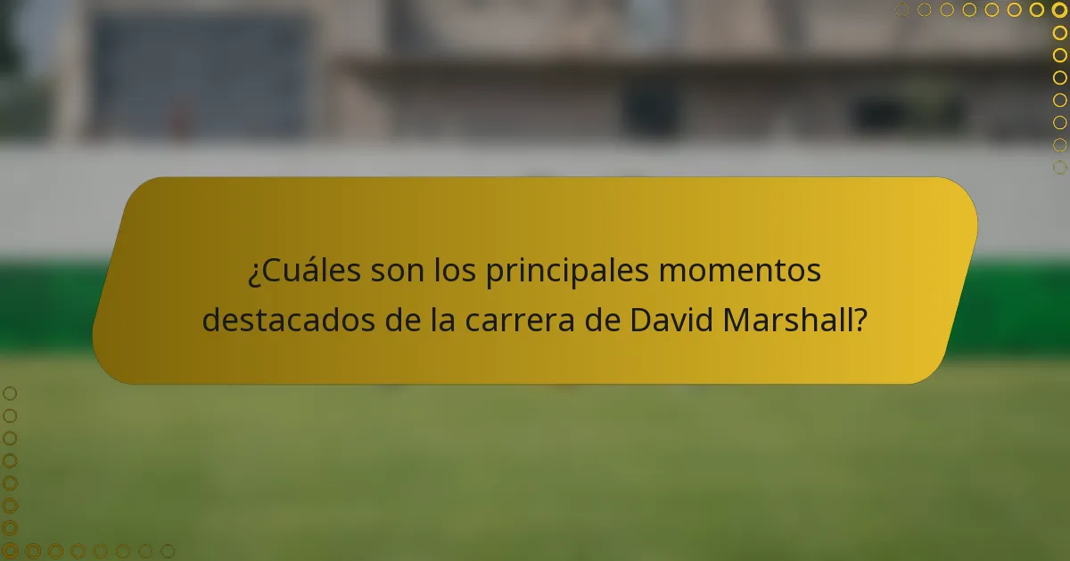¿Cuáles son los principales momentos destacados de la carrera de David Marshall?